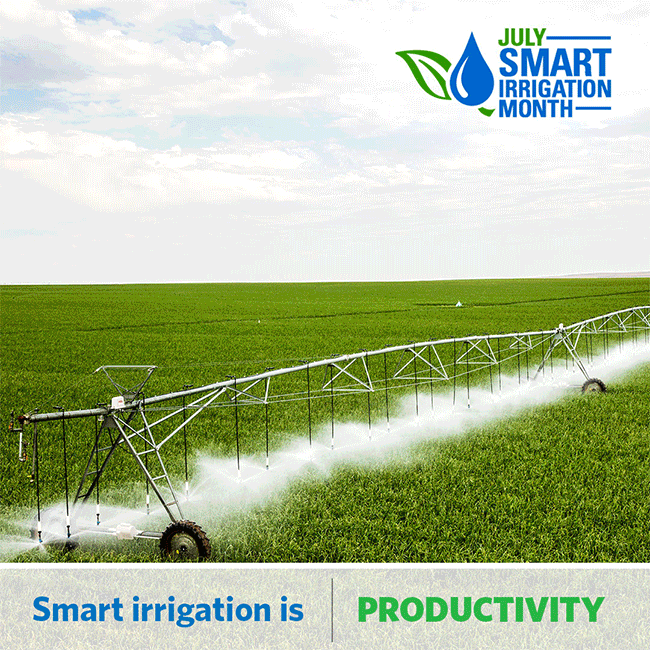 Get smart with the IA